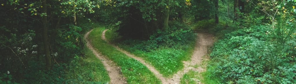 Photo Credit: Jens Lelie, Unsplash.com