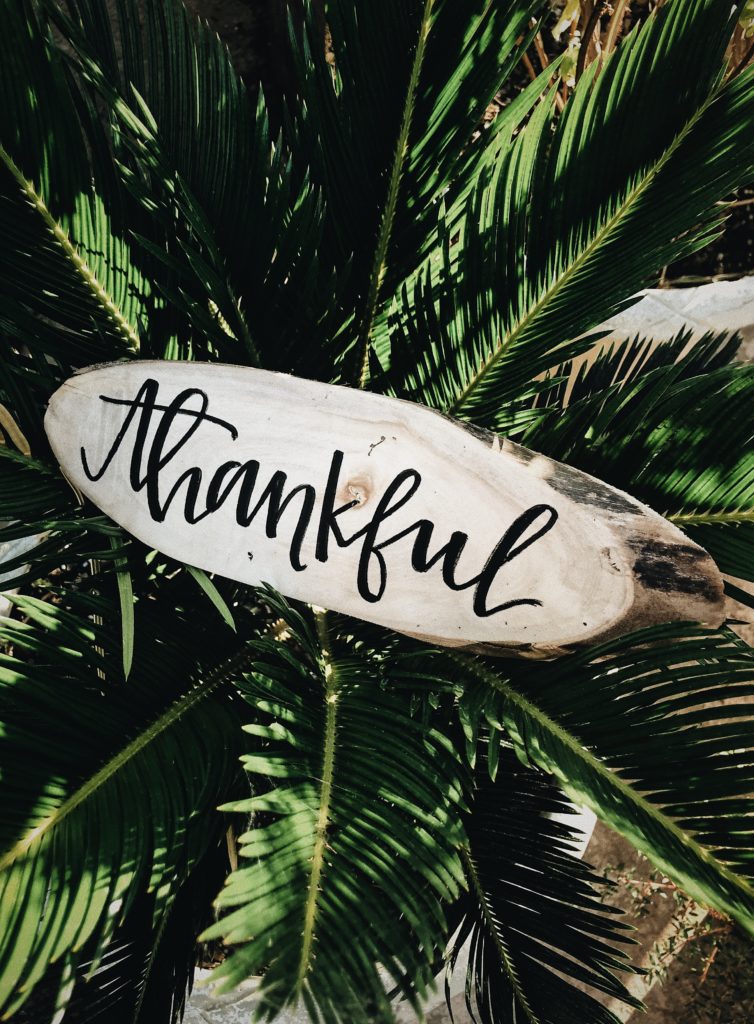 Photo Credit: Jessica Castro, Unsplash.com