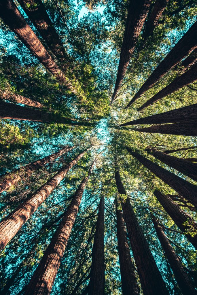 Photo Credit: Casey Horner, Unsplash.com