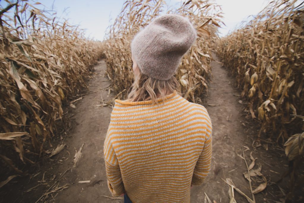 Photo Credit: Burst, Unsplash.com