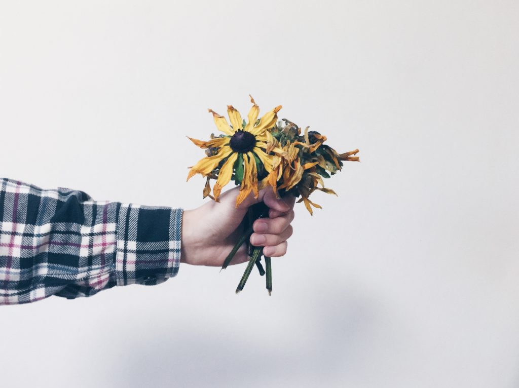 Photo Credit: Riz Mooney, Unsplash.com